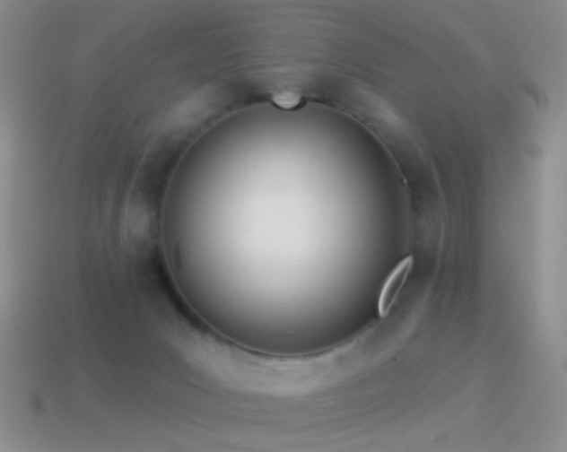 X0000114510031200910191143