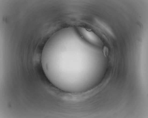 X0000114510033200910191143