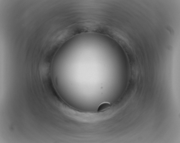 X0000114510034200910191143