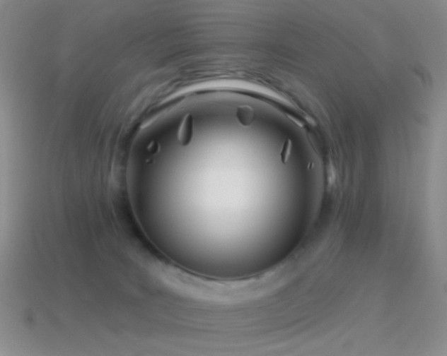 X0000114510035200910191143