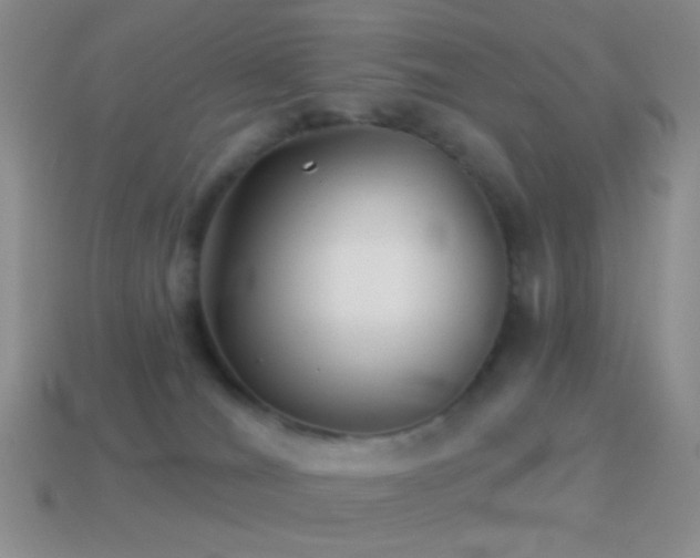 X0000114510036200910191143