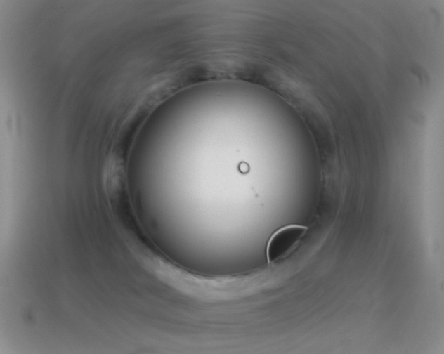 X0000114510038200910191143