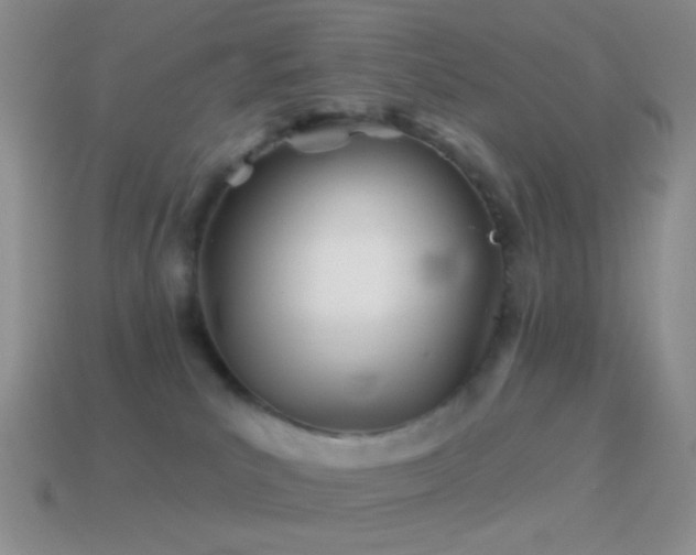 X0000114510039200910191143