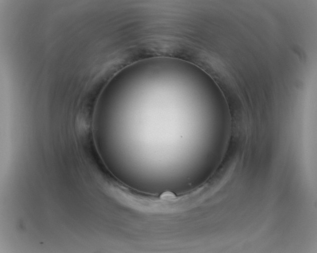 X0000114510040200910191143