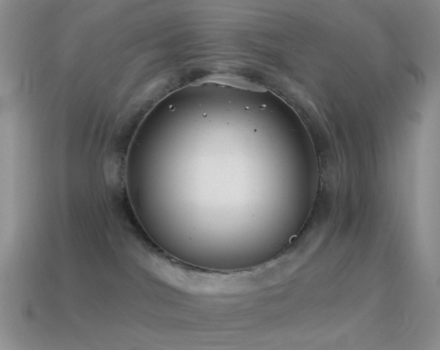 X0000114510044200910191142