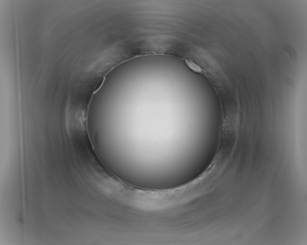 X0000114510045200910191142