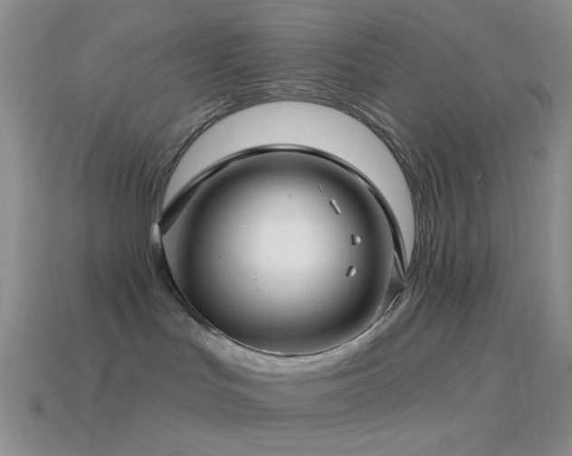 X0000114510047200910191142