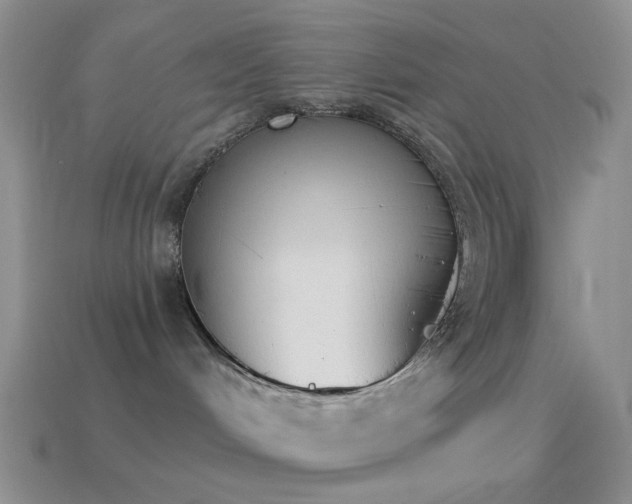 X0000114510048200910191142