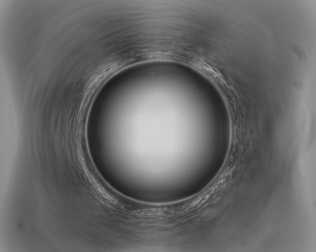 X0000114510049200910191142