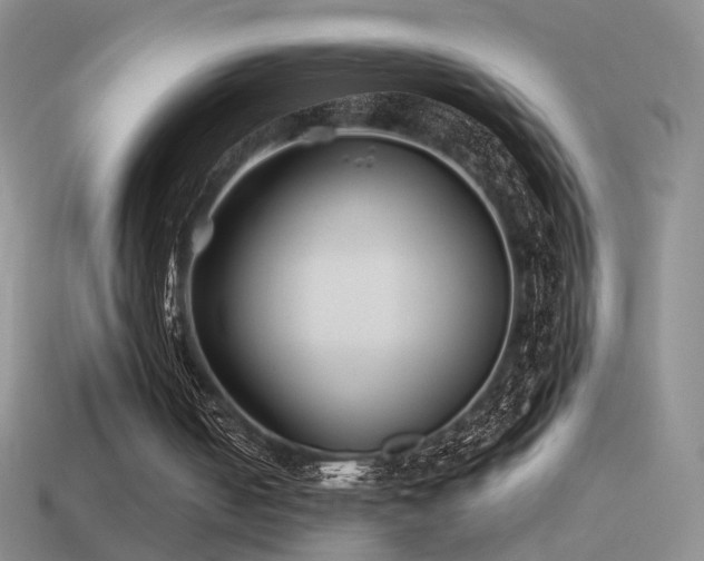 X0000114510050200910191142