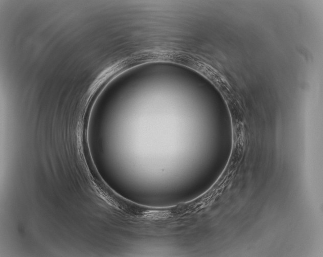 X0000114510051200910191142