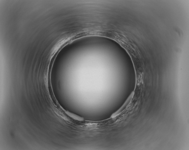 X0000114510052200910191142