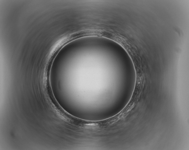 X0000114510053200910191142