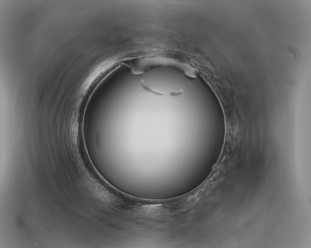 X0000114510054200910191142