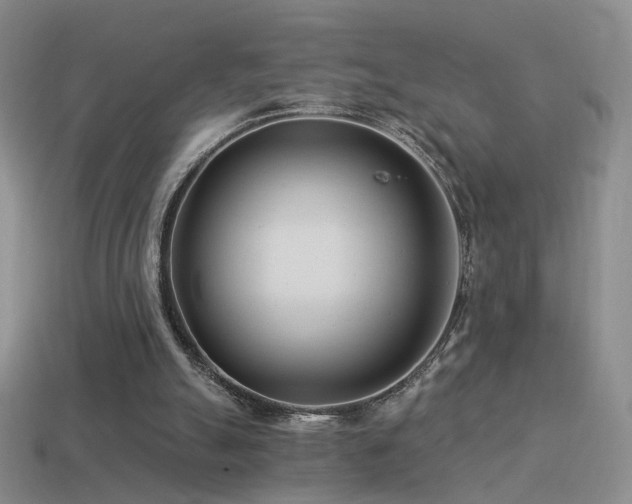 X0000114510055200910191142