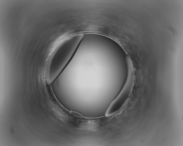 X0000114510056200910191142