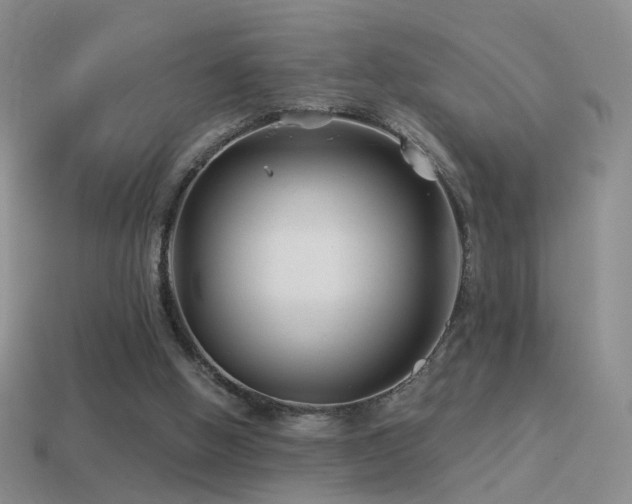 X0000114510058200910191142