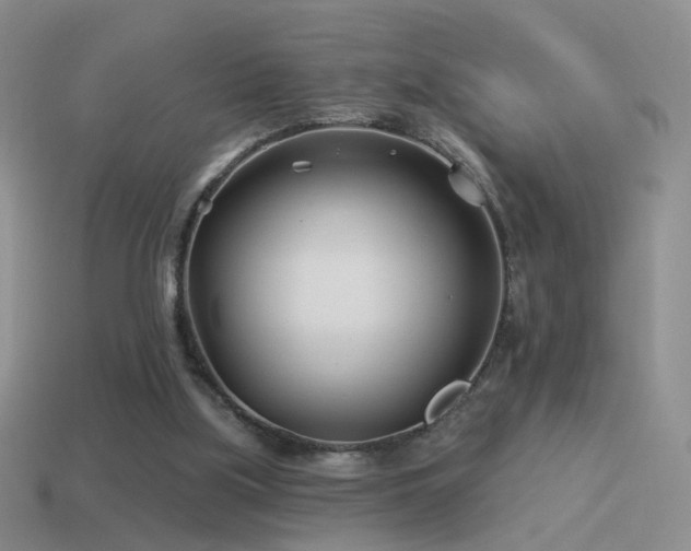 X0000114510059200910191142