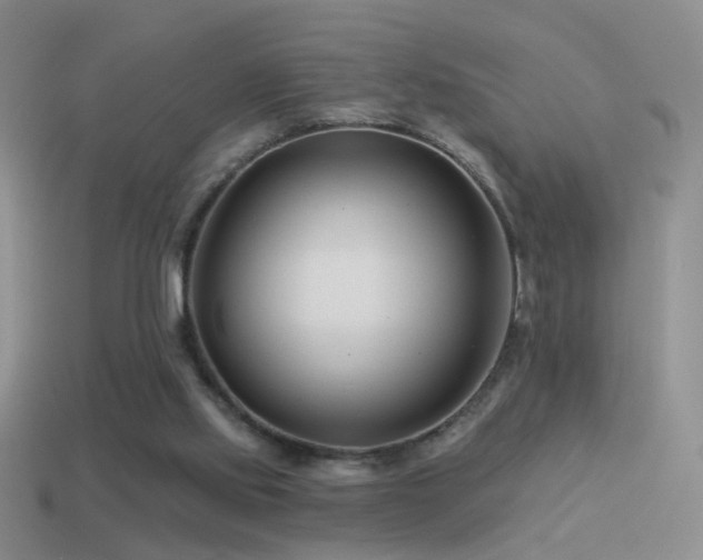 X0000114510061200910191142