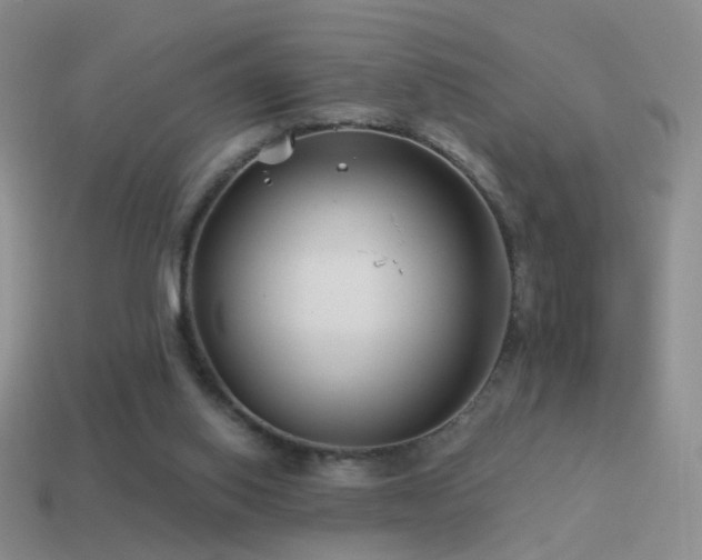 X0000114510062200910191142