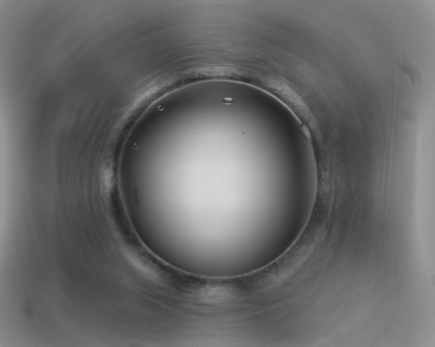 X0000114510063200910191142