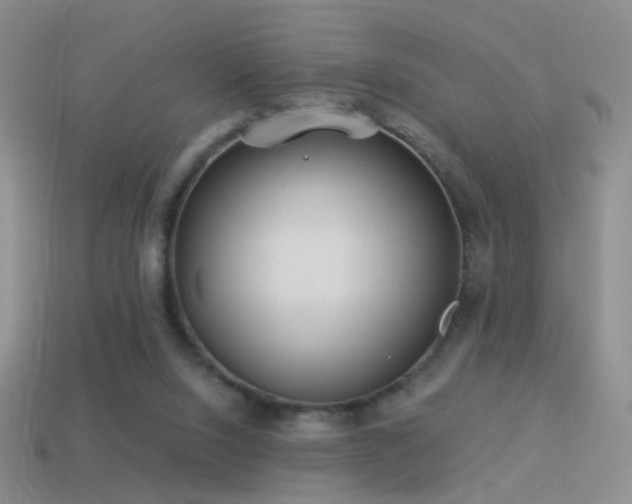 X0000114510064200910191142