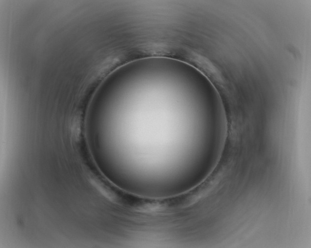 X0000114510065200910191142