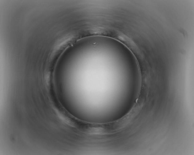 X0000114510066200910191142