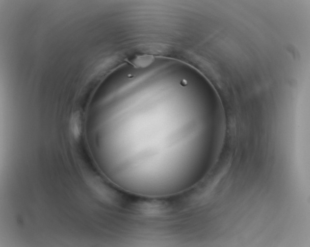 X0000114510069200910191142