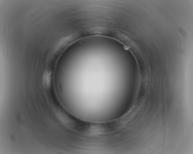 X0000114510070200910191142