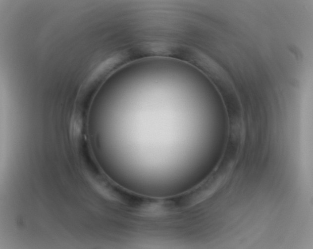 X0000114510072200910191142