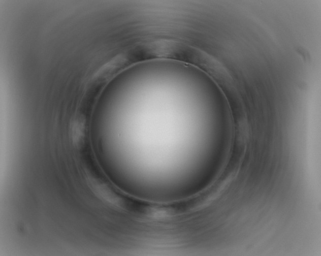 X0000114510073200910191142