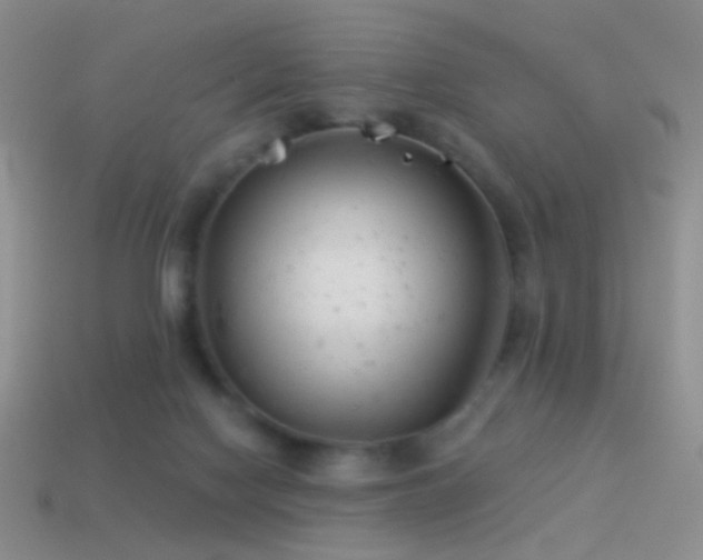 X0000114510074200910191142