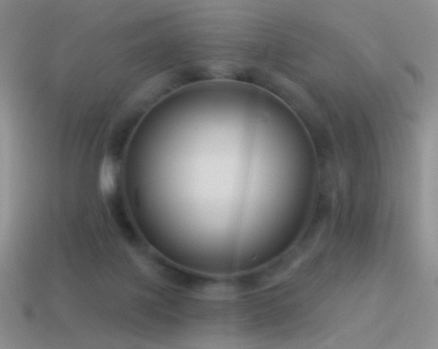 X0000114510075200910191142