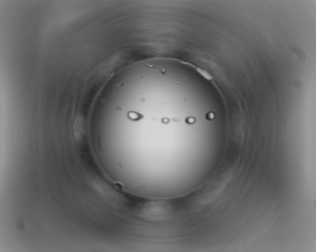 X0000114510077200910191142