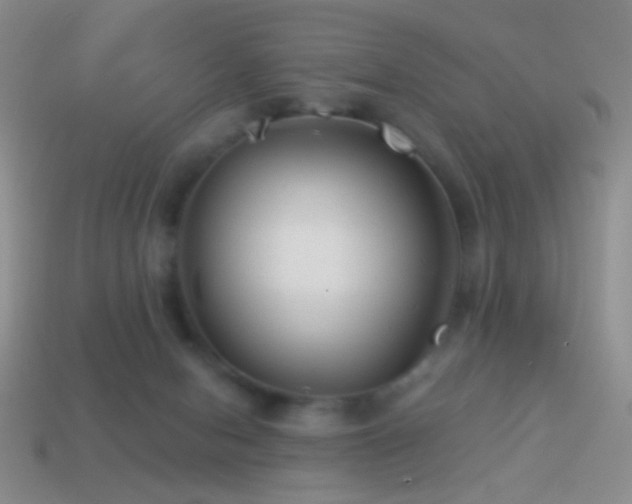 X0000114510078200910191142