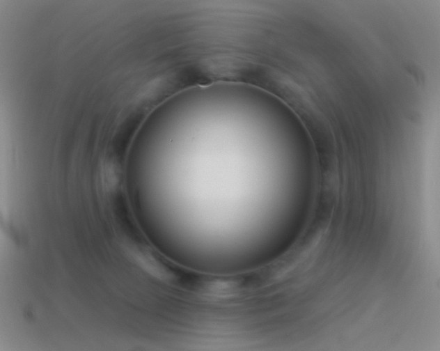 X0000114510081200910191142