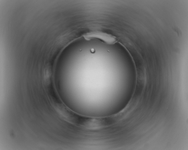 X0000114510082200910191142