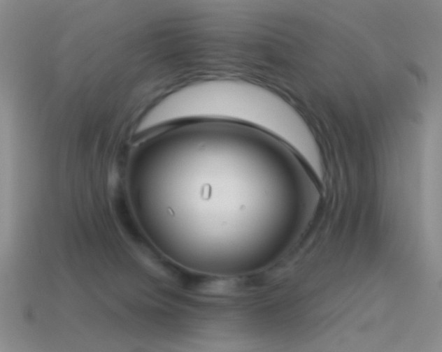 X0000114510084200910191142