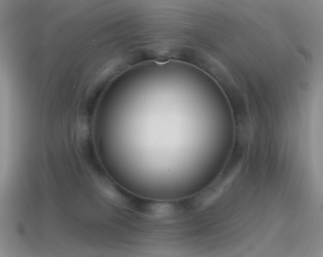 X0000114510085200910191142