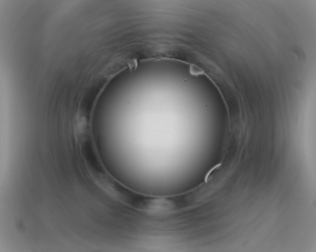 X0000114510087200910191142