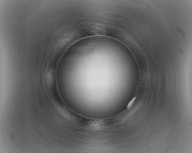 X0000114510088200910191142