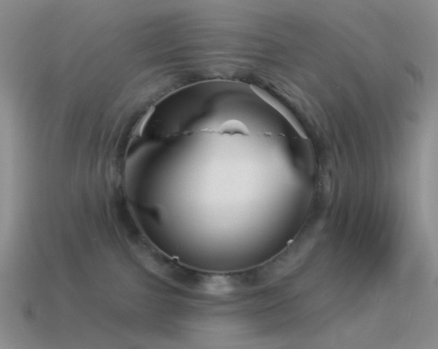 X0000114510091200910191142