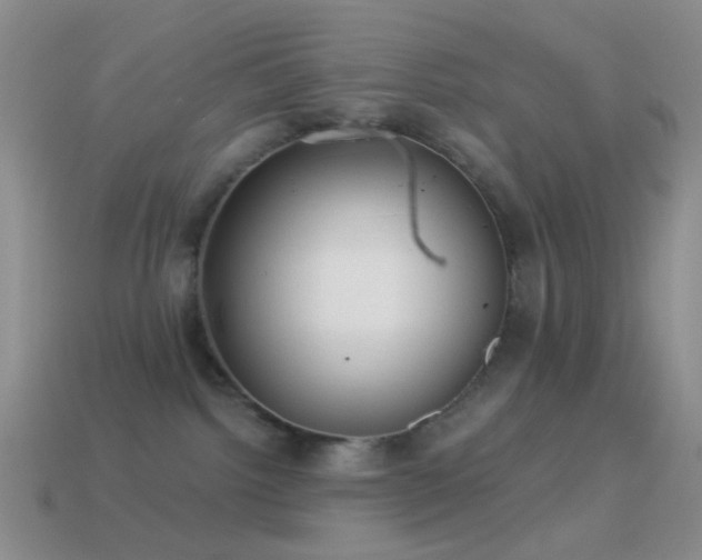 X0000114510092200910191142