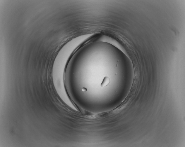 X0000114510096200910191142