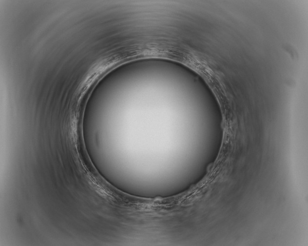 X0000114510098200910191142