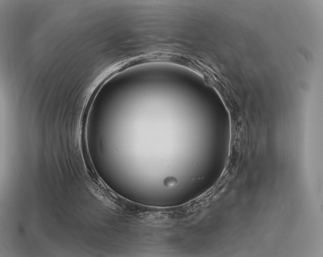 X0000114510100200910191142