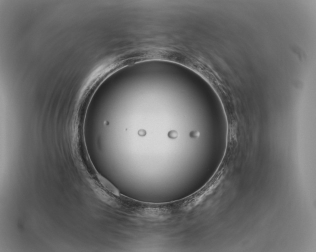 X0000114510101200910191142