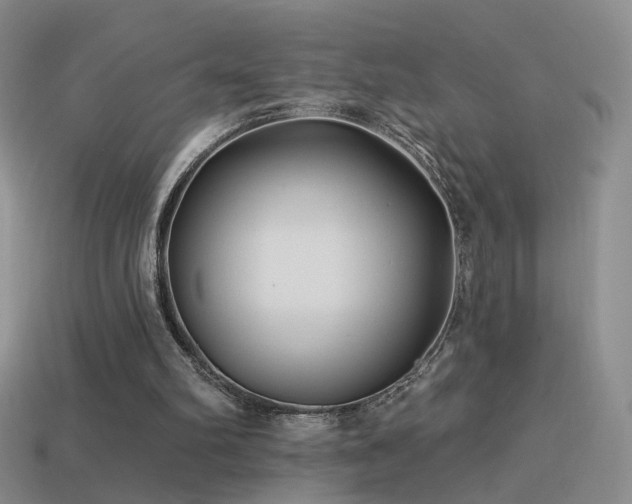 X0000114510102200910191142