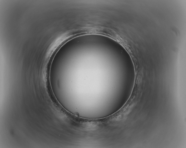 X0000114510103200910191142